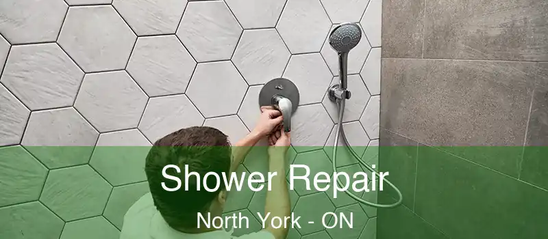  Shower Repair North York - ON