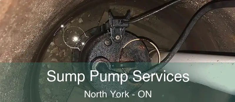  Sump Pump Services North York - ON