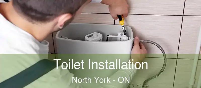  Toilet Installation North York - ON