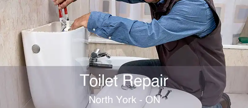  Toilet Repair North York - ON