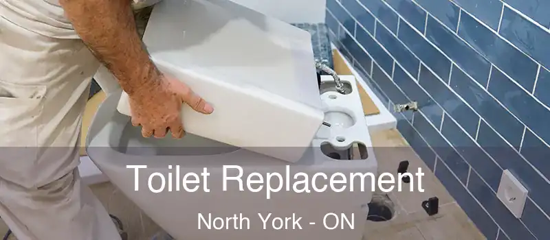  Toilet Replacement North York - ON
