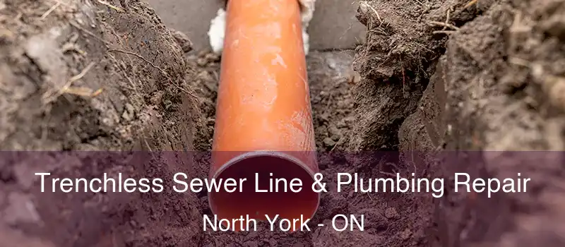 Trenchless Sewer Line & Plumbing Repair North York - ON