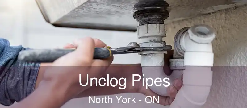  Unclog Pipes North York - ON