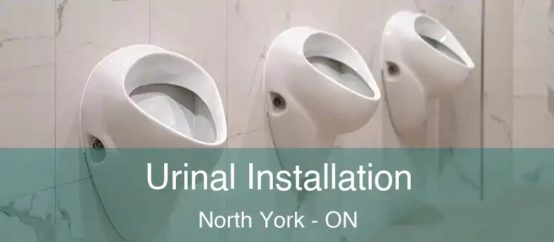  Urinal Installation North York - ON