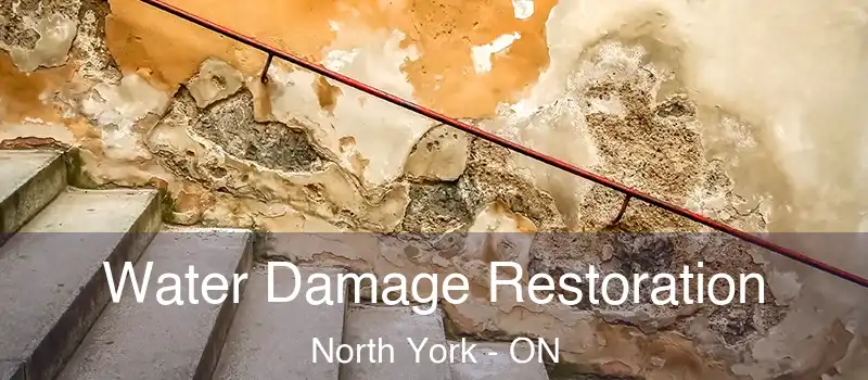  Water Damage Restoration North York - ON