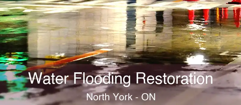  Water Flooding Restoration North York - ON