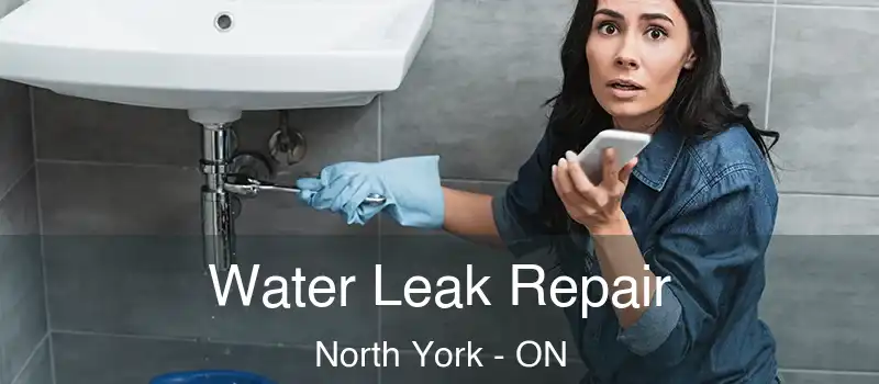  Water Leak Repair North York - ON