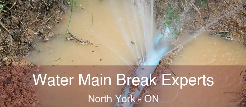  Water Main Break Experts North York - ON