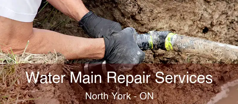  Water Main Repair Services North York - ON