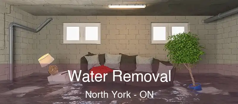  Water Removal North York - ON