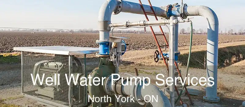  Well Water Pump Services North York - ON